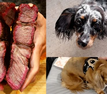 On the left, a split open smoked chuck roast. On the top-right, a black and white dachshund. On the bottom-right is a golden dachshund.